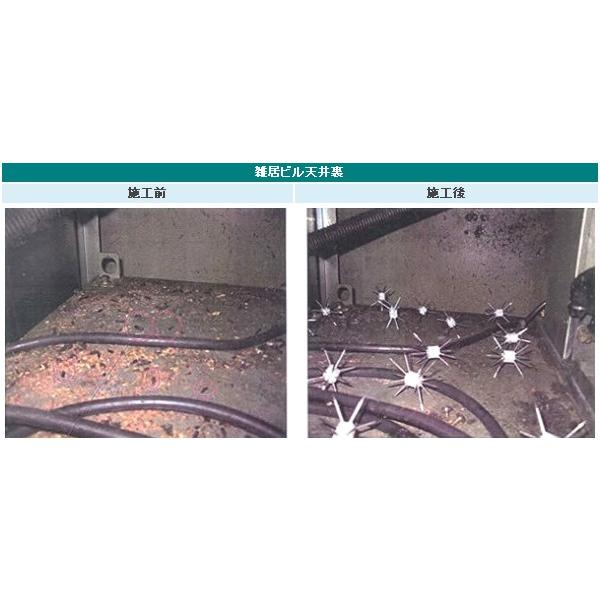 ねずみ 侵入 対策 ネズミ忌避具Z 30個セット まきびしの画像