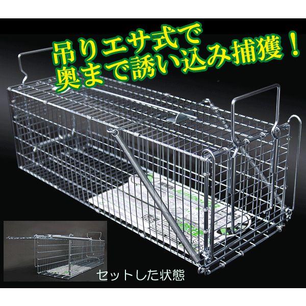 野良猫 保護 捕獲器 両開き フック 吊り餌式 : あっと解消 Yahoo!店