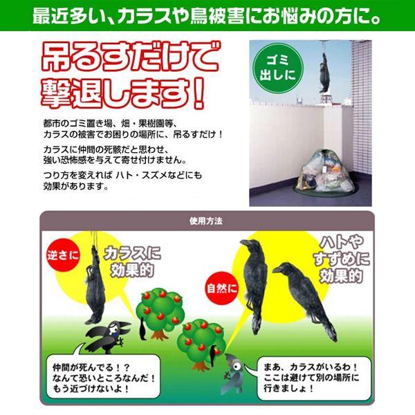 カラス　対策　鳥害　3個セット　本物ソックリカラス　イヤガラス