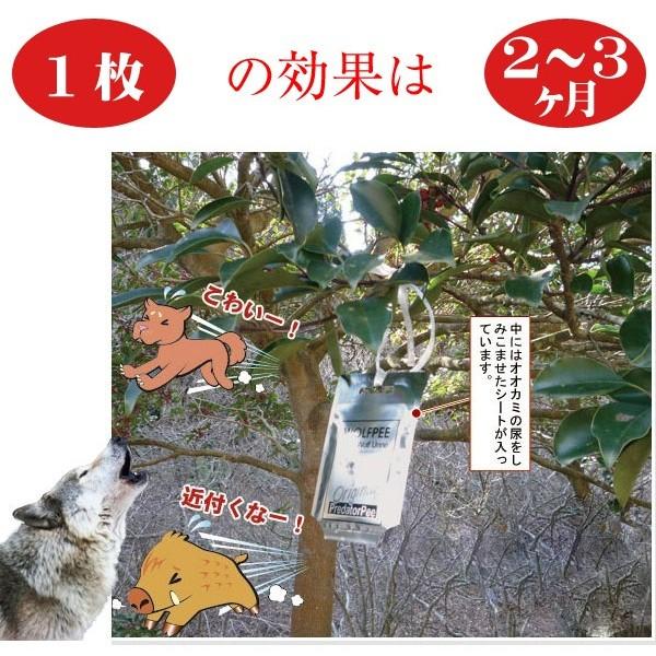 ウルフピー 4枚入り 6個セット サル イノシシ 対策 あっと解消 Yahoo 店 通販 Yahoo ショッピング