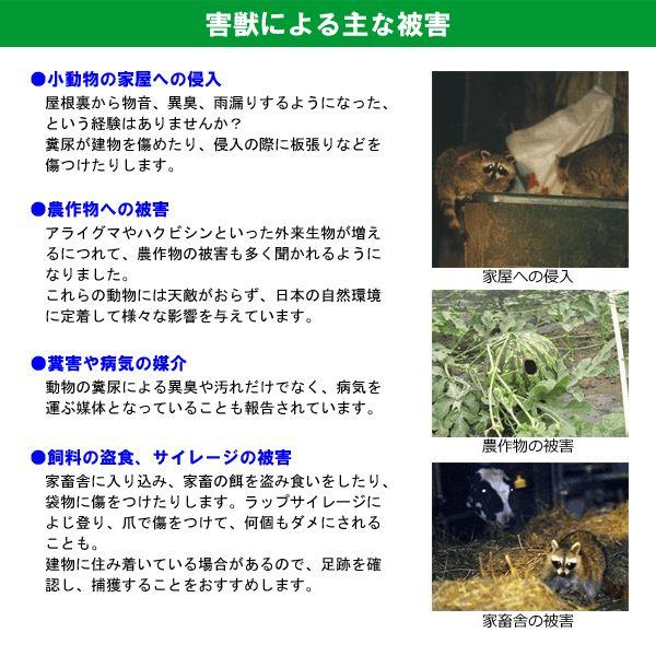 アニマルトラップ　小型　踏み板式　捕獲器