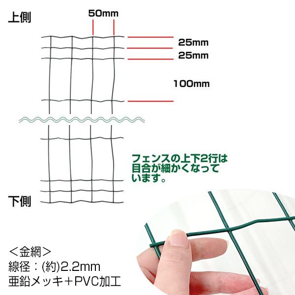 簡単金網フェンス 改良型 1500 ネット+支柱セット 屋外 柵 家庭菜園 畑 高さ150cm｜kwn｜06