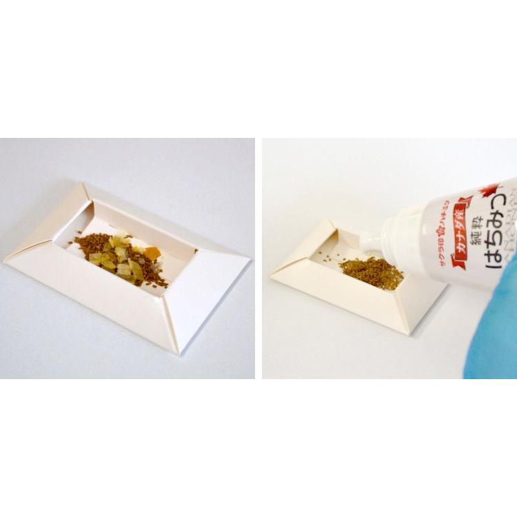 アンツバスター 200g 4本セット 業務用 アリ（蟻）駆除剤 毒エサの画像