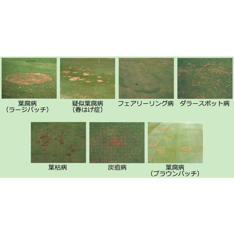 芝生用殺菌剤「タフシーバフロアブル 1L 5本セット」｜kwn｜02