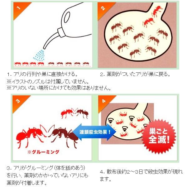 美しい花の画像 50 蟻 いらすとや