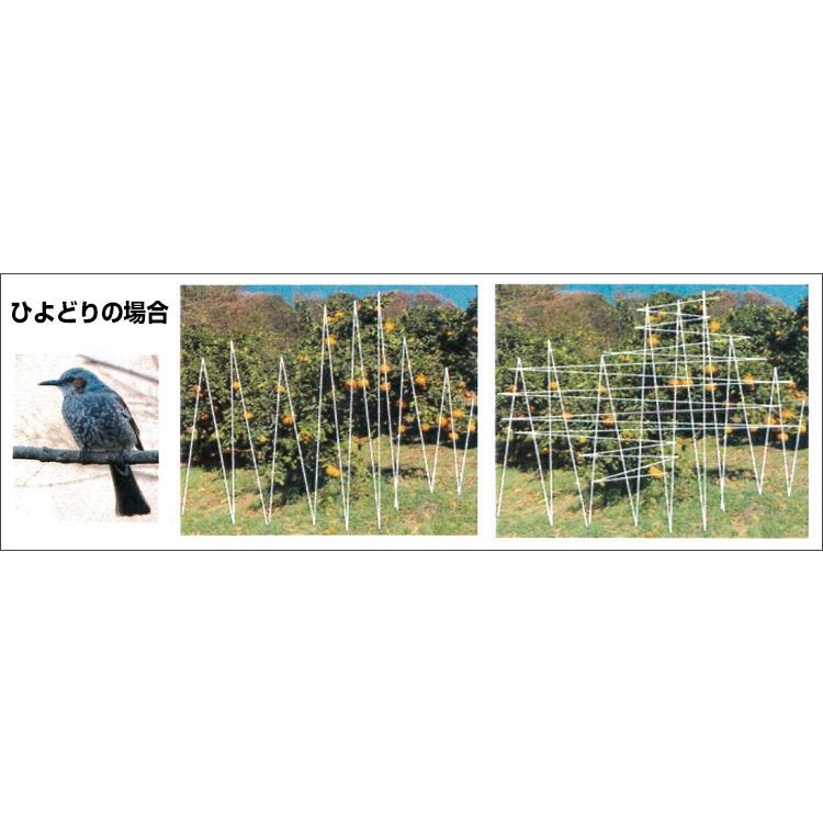 らくらく防鳥糸掛け器 カラス ヒヨドリ 被害 対策 あっと解消 Yahoo 店 通販 Yahoo ショッピング