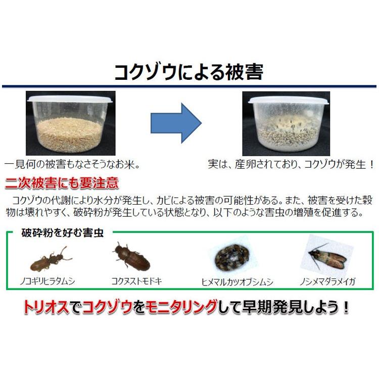 トリオス 本体セット コクゾウ用（10セット入り）3個セット 穀物 お米 害虫 捕獲_1