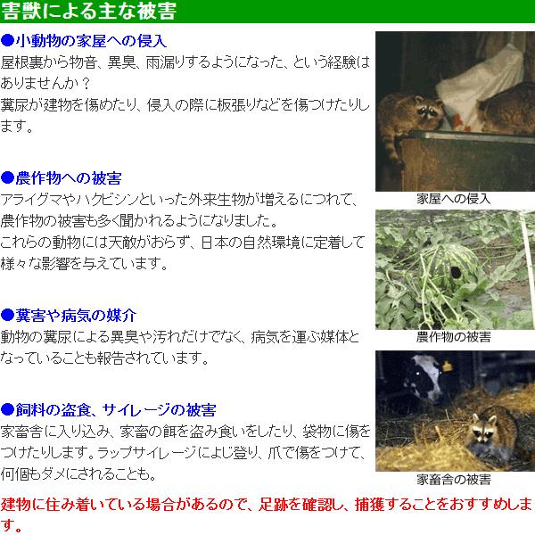 踏板式 捕獲器 改良型 ブラック 2台セット 猫 保護 捕獲機 イタチ アニマルキャッチャー｜kwn｜05