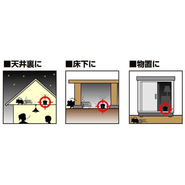 鼠の嫌いな匂い 屋根裏 ネズミ 追い出す ラットバリア プロ 3個セット｜kwn｜03