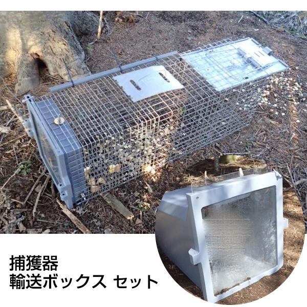 アライグマ専用　捕獲器と輸送ボックス　セット　害獣　退治　駆除