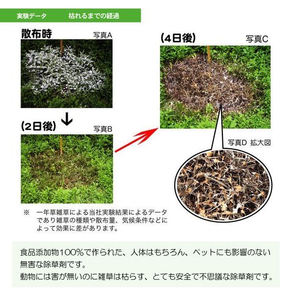 雑草対策 除草剤 ウィードブライト 粉末タイプ 2袋セット｜kwn｜04