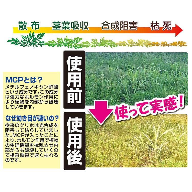 除草剤 非農耕地用 液剤 グリホ41 MCP 5L 1本 雑草対策 根まで枯らす 100倍 希釈タイプ｜kwn｜02