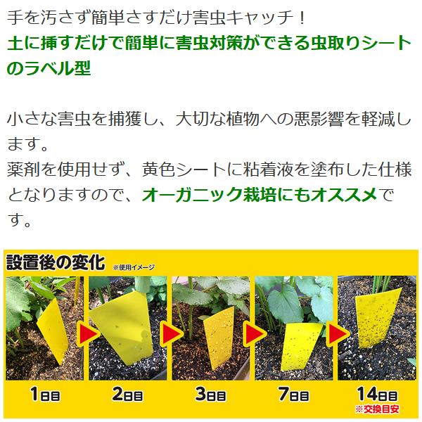 虫取りトラップラベル Mサイズ 5枚入×50個セット 捕虫シート 黄色 粘着 殺虫 植木鉢 プランター オーガニックの画像