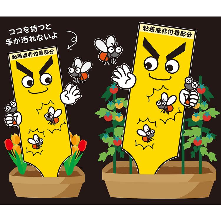虫取りトラップラベル Mサイズ 5枚入×200個セット 捕虫シート 粘着 オーガニック プランター 植木鉢の画像