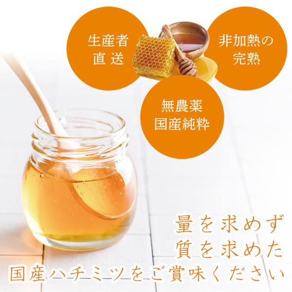 国産 純粋はちみつ 250g×3個 非加熱 百花蜂蜜 ギフトセット 食品 常温 
