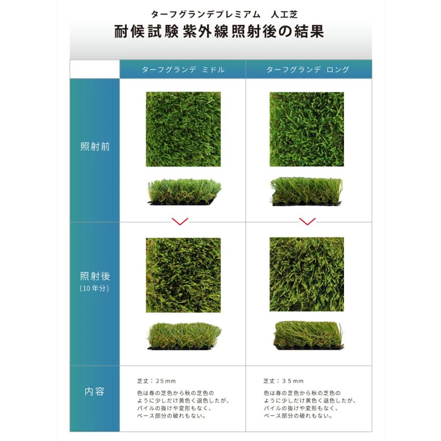 人工芝 2m×10m 芝丈25mm ターフピン100本付き 室内 庭 リアル ロール diyの画像