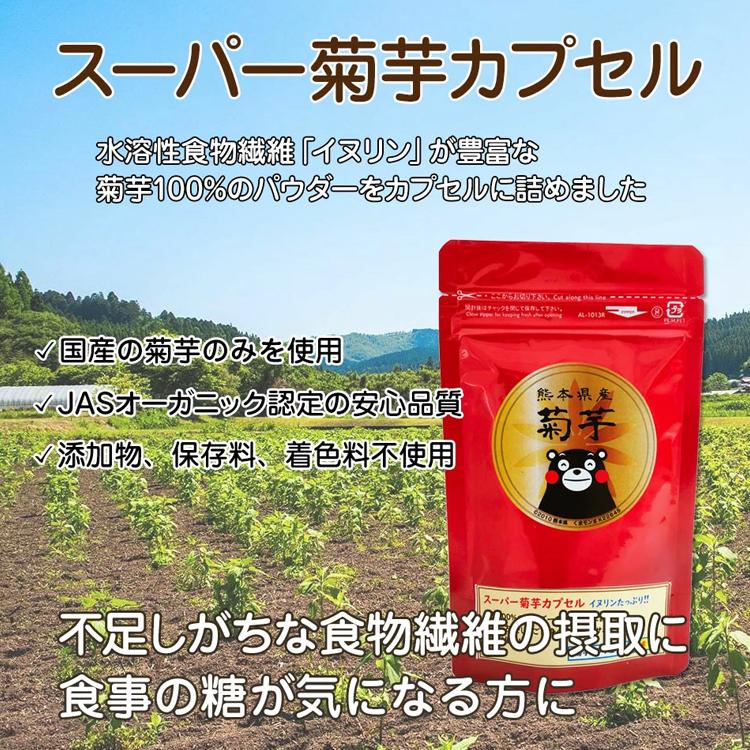 イヌリン サプリ 粉末 スーパー 菊芋 カプセル 380mg×90錠 水溶性 食物