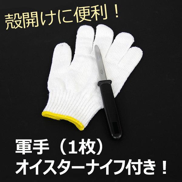 広島牡蠣 生食用 殻付き 100個 K14タイプ 産地直送 お歳暮 生食用 殻付き お歳暮