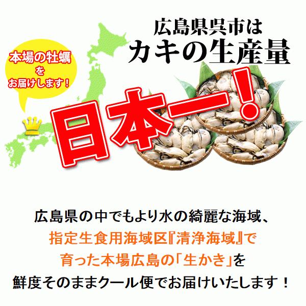 広島牡蠣 生食用 殻付き 100個 K14タイプ 産地直送 お歳暮 生食用 殻付き お歳暮
