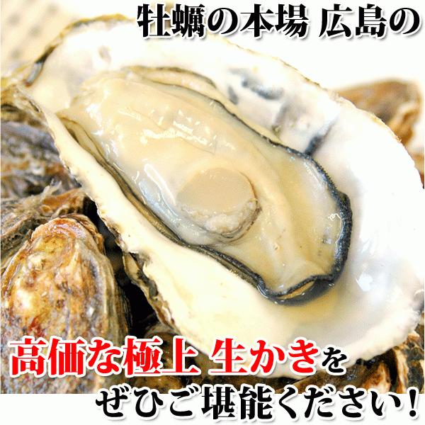 広島牡蠣 生食用 殻付き 100個 K14タイプ 産地直送 お歳暮 生食用 殻付き お歳暮