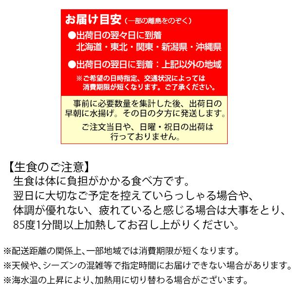 広島牡蠣 生食用 殻付き 100個 K14タイプ 産地直送 お歳暮 生食用 殻付き お歳暮
