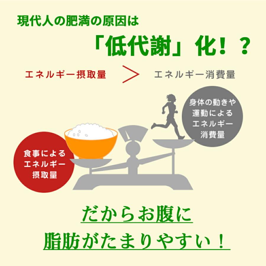 カワラヤ 公式】WABUCI ダイエットサプリメント マンゴー味 360 カワラヤ 公式】WABUCI ダイエットサプリメント マンゴー味 360