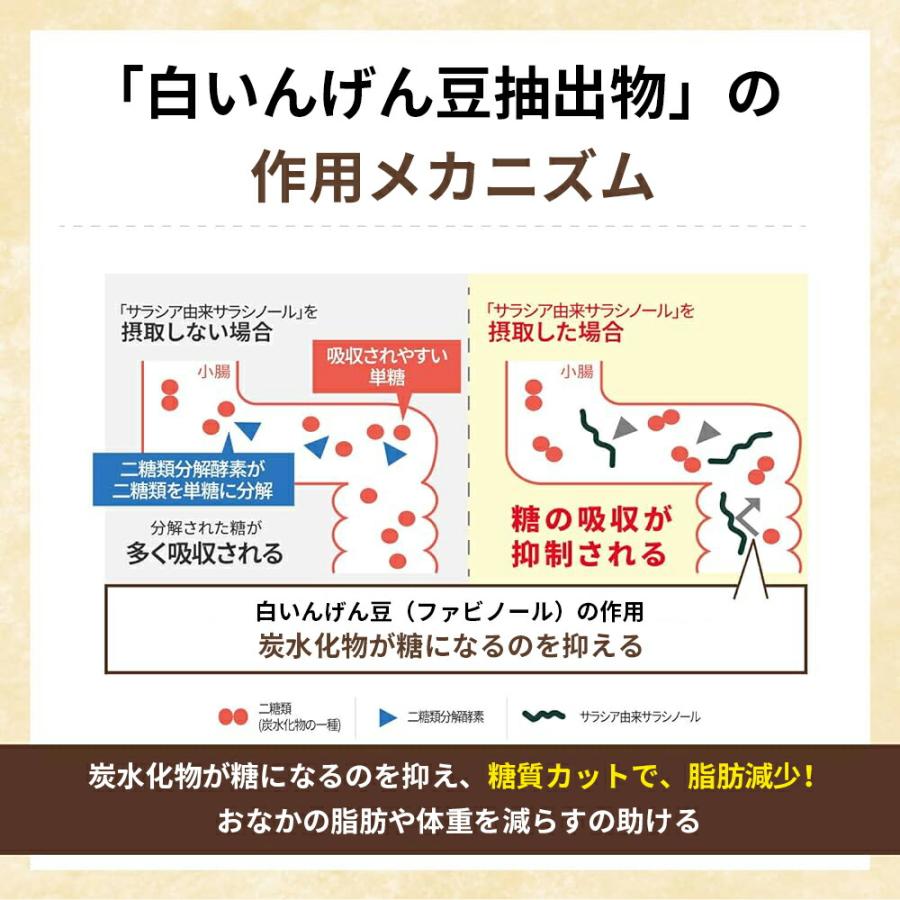 カワラヤ 公式】WABUCI ダイエットサプリメント マンゴー味 360 カワラヤ 公式】WABUCI ダイエットサプリメント マンゴー味 360