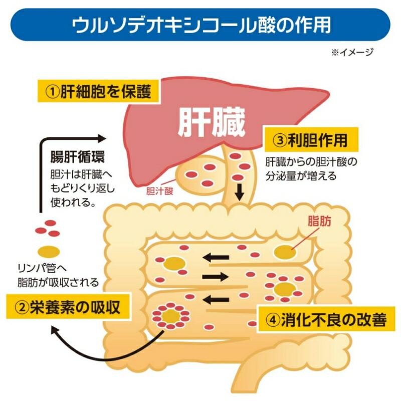 2個セット 【第3類医薬品】レバウルソゴールド (140錠) レバウルソ 代謝高め 滋養強壮｜kwry001-store｜04