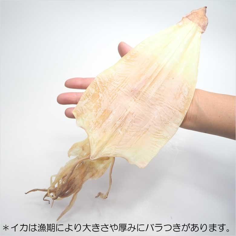 剣先するめ 10枚入 無添加 天日干し スルメイカ 干物 干しイカ 剣先