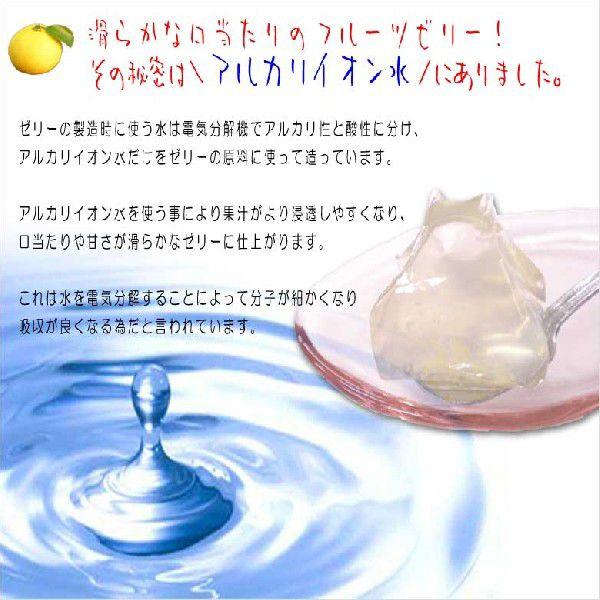 ニューサマーオレンジゼリー12個入 果物 フルーツゼリー 詰め合わせ 夏