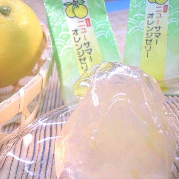 ニューサマーオレンジゼリー8個入×28箱 法人ギフト 記念品 景品 販促