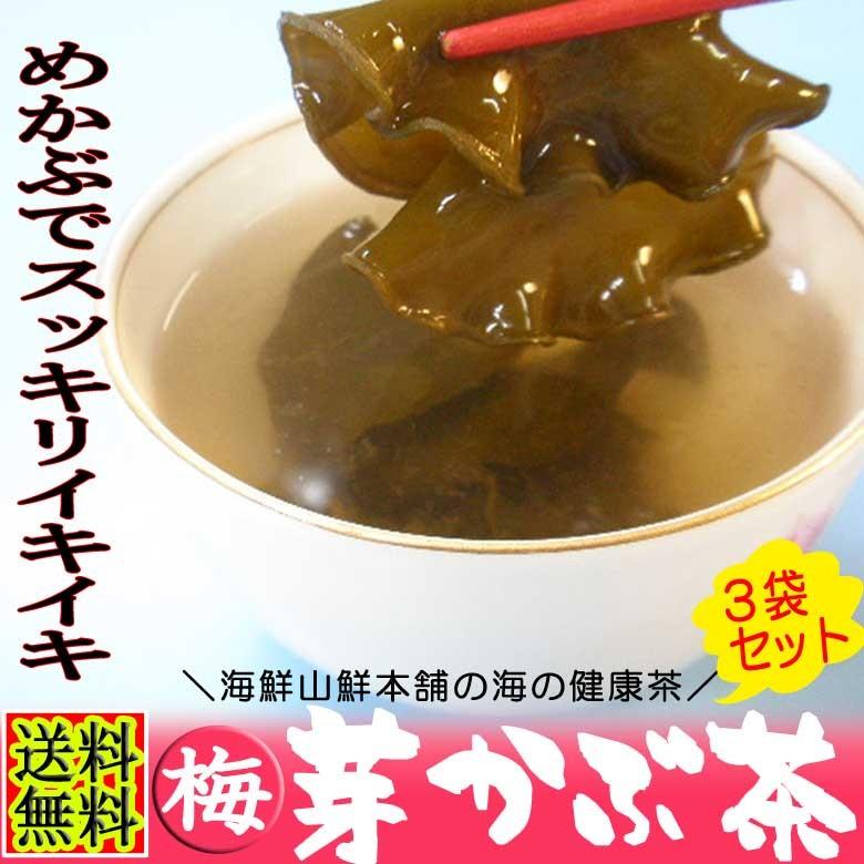 めかぶ茶 梅味3袋セット 送料無料 ワカメの根っ子の芽かぶのお茶