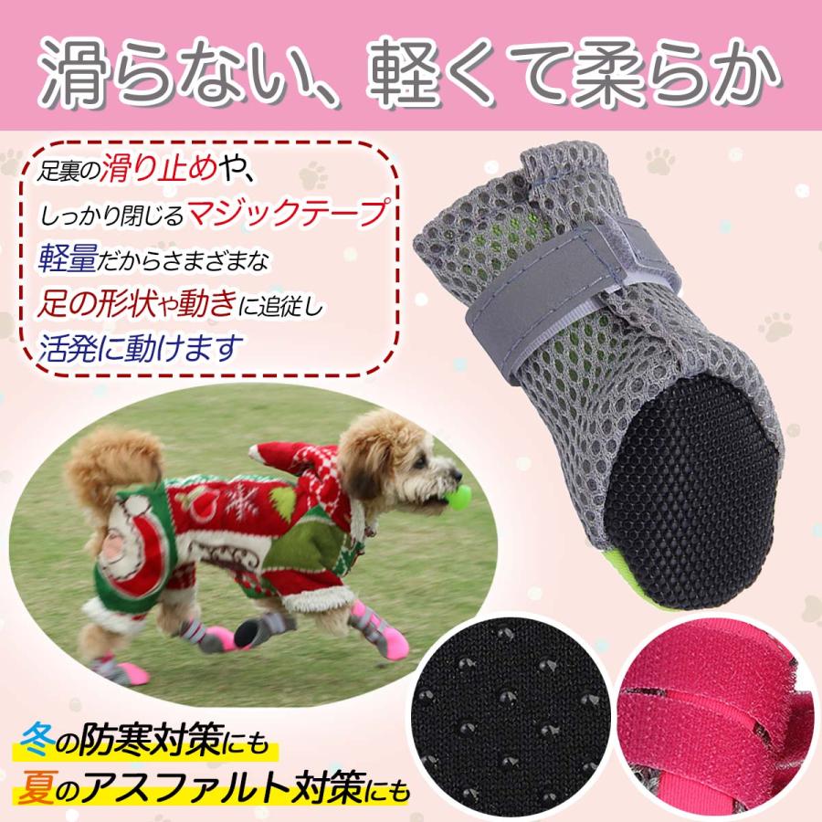 動かない犬 気管にやさしい犬の散歩用ハーネス アニサポ ハーレスト