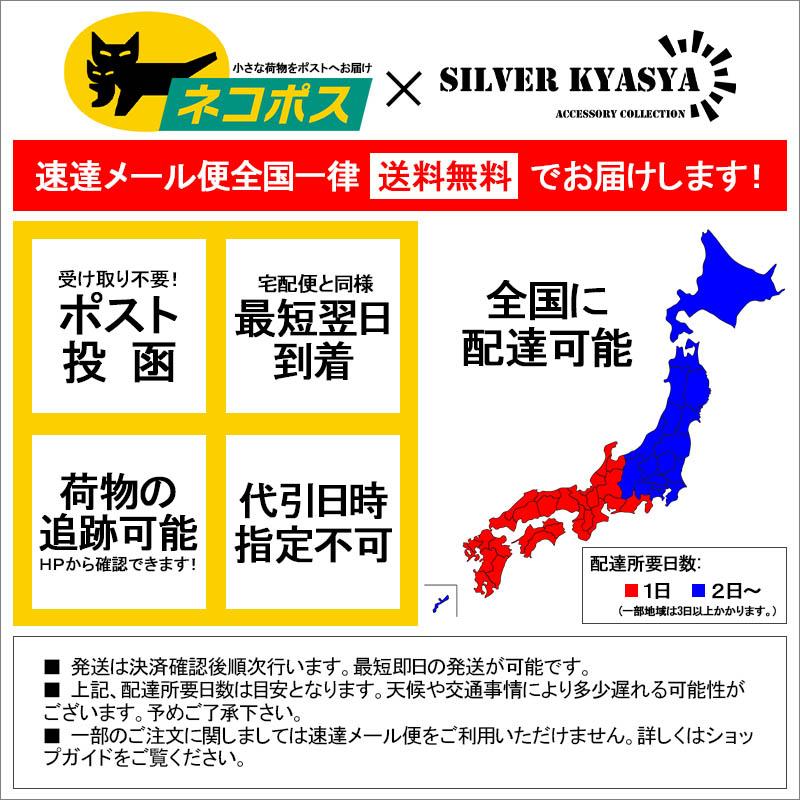 【新品同様 / 希少】 シルバー925 バイクチェーン ブレスレット オートバイ チェーン アクセサリー 重厚 人気 存在感抜群 【NAN7531999928】(26818円)