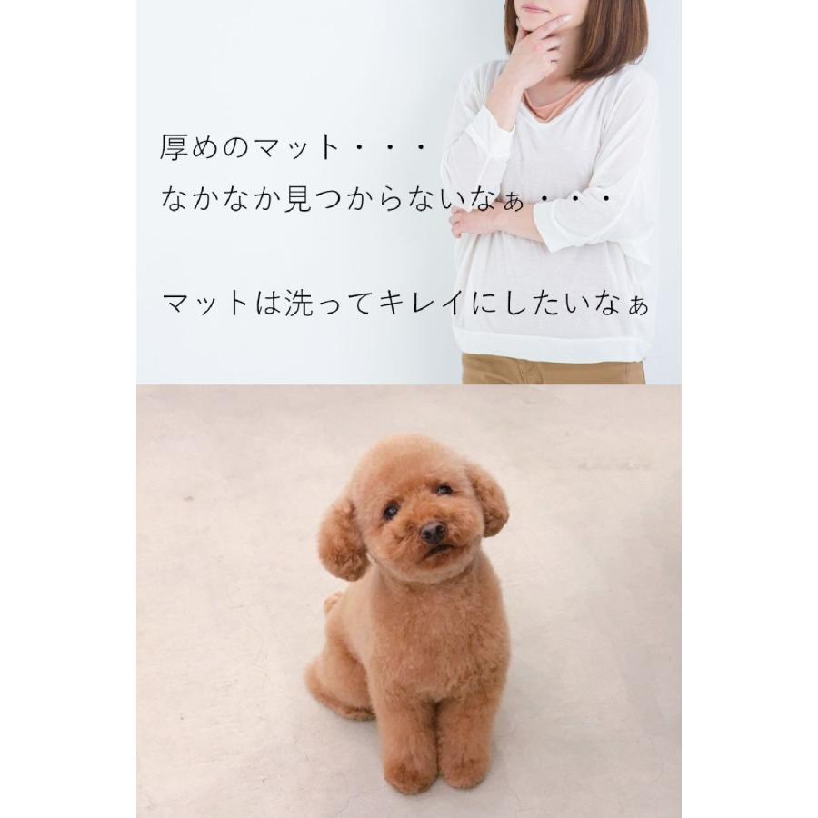 ブレスエアーから新素材3Dエアーへ／ 厚め5.0cm 犬用床ずれ