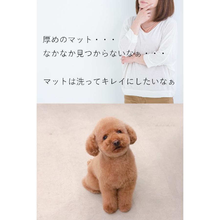 ブレスエアーから新素材3Dエアーへ／ 厚め5.0cm 犬用床ずれ