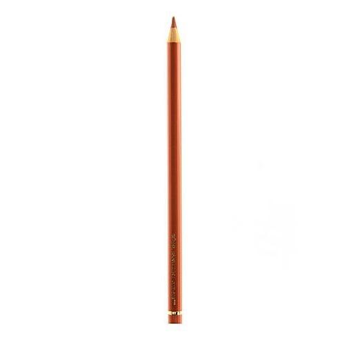 【初回限定】 Faber-Castell Polychromos ] 12 OF [PACK 188 sanguine (Each) Pencils Coloured Artist 色鉛筆