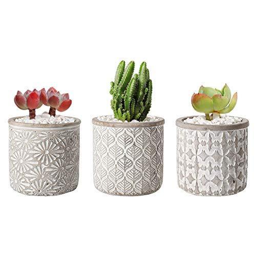 純正お得セール T 4 U 4インチセメントポットグレー3 Ecma 小コンクリートサキュレント円形プランター花瓶植物ハーブサボテン容器自宅用 オフィス装飾バースデーウェディ 直販クーポン Ssl Daikyogo Or Jp