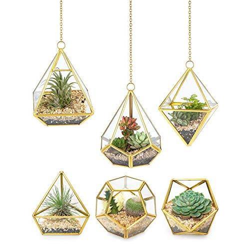 Mkonoミニガラス幾何学的テラリウム容器6個セットの垂直モダン吊りプランター窓下装飾棚diyディスプレイボックスセンターピース多肉植物シダミニチュアフェ 花瓶 花台 B08k4czhn1 フレーム ボックス Kyo Quality