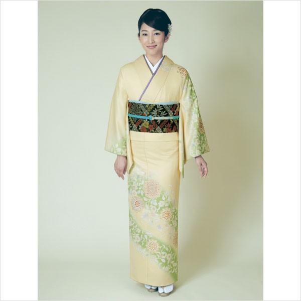 洗える着物訪問着６ 訪問着・色無地 | 訪問着 | B6AD0874000