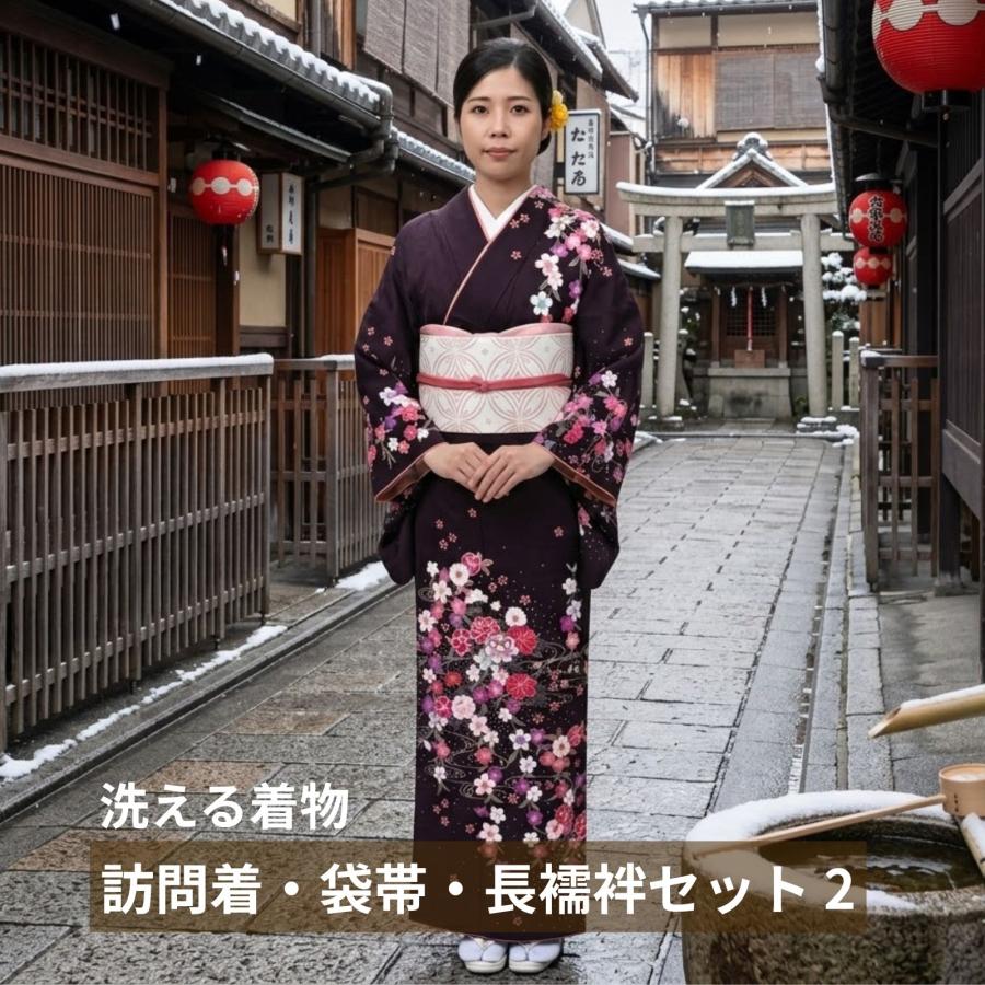 H.L（アッシュ・エル） 訪問着 HL 洗える着物 3点セット 6柄 弐