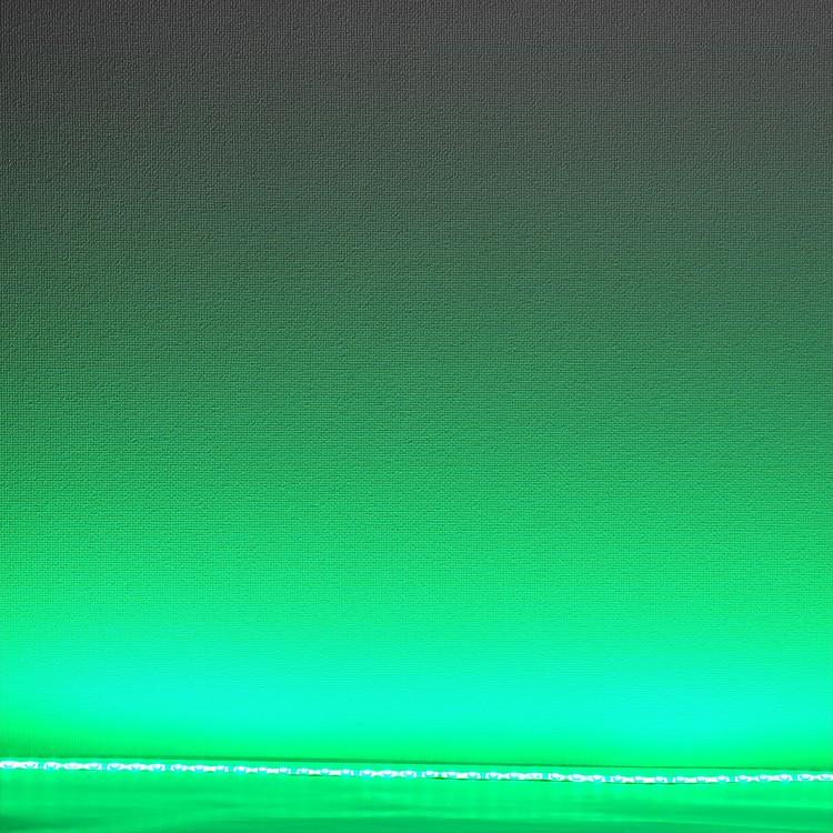 共同照明 LEDテープライト 5m 緑 防水 LEDテープ SMD5050 正面発光