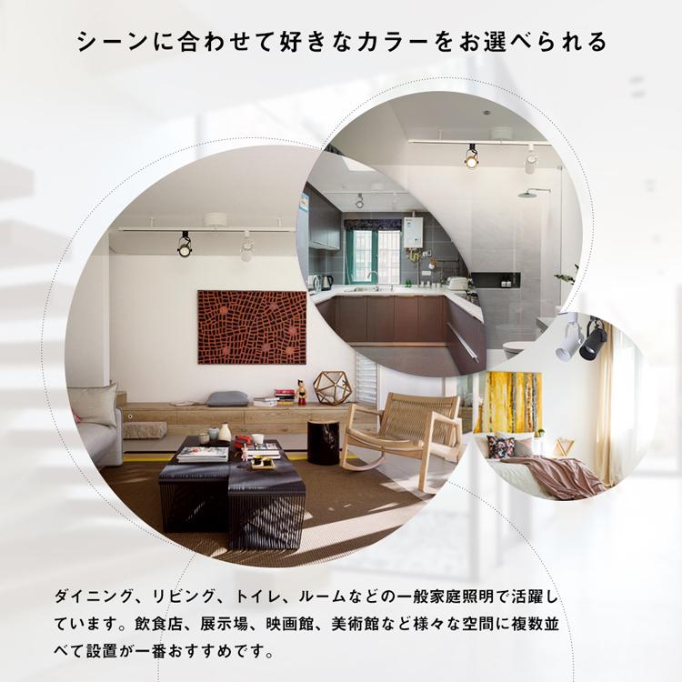 共同照明 スポットライト シーリングライト 配線ダクトレール用