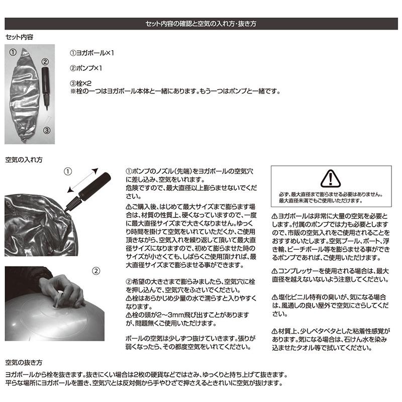 鉄人倶楽部 (IMC-32) バランスボール ヨガボール 65cm ダイエット