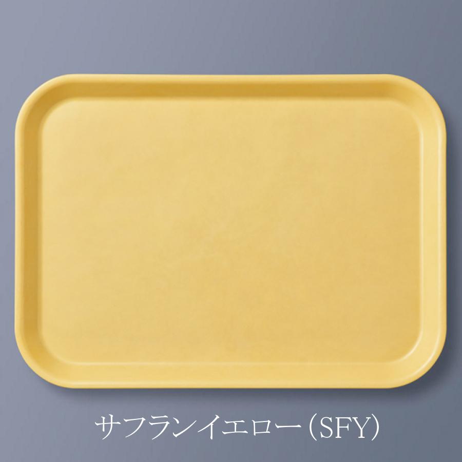 FRP エスタートレイ 長方形 全5色 (415×303×20mm) 三信化工［SE-21