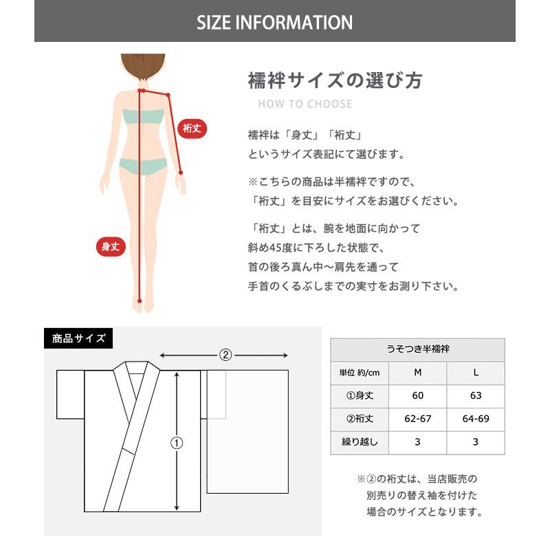 KYOETSU（京越） (うそつき半襦袢 絽衿) 夏 絽生地 大うそつき 半襦袢