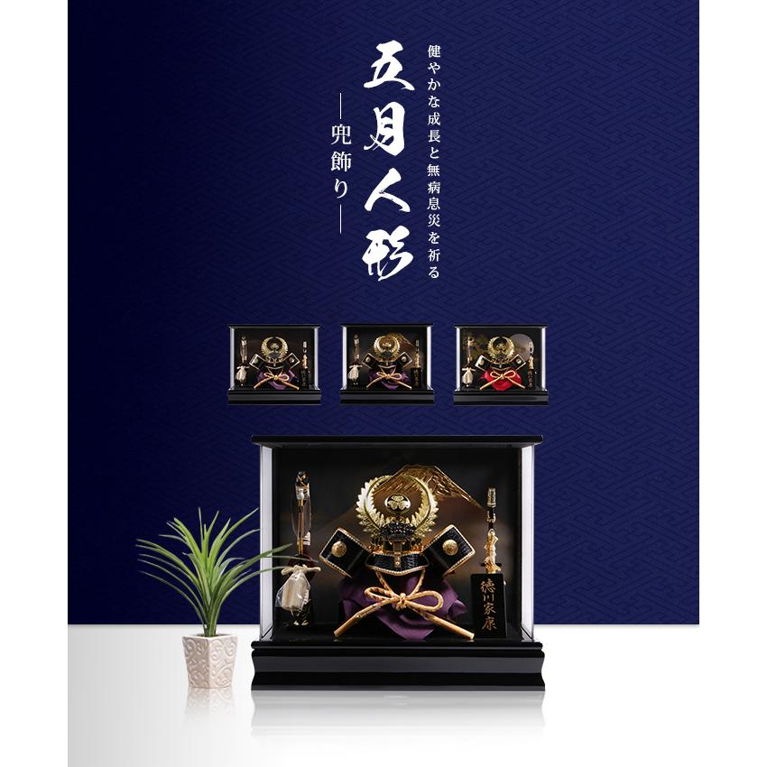 五月人形 徳川家康 Gn004f 五月人形 コンパクト おしゃれ ケース飾り 兜 モダン 兜飾り 徳川家康 兜ケース飾り 5月人形 ケース ミニ 玄関 かぶと Hm 京越卸屋 Paypayモール店 通販 Paypayモール