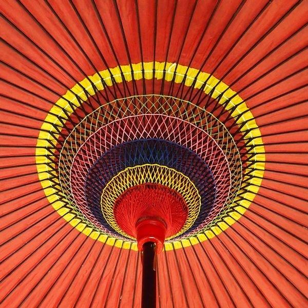 野立て傘  2.5尺  難あり品 Amazon | 野点傘小 2.5尺 | 長傘 通販