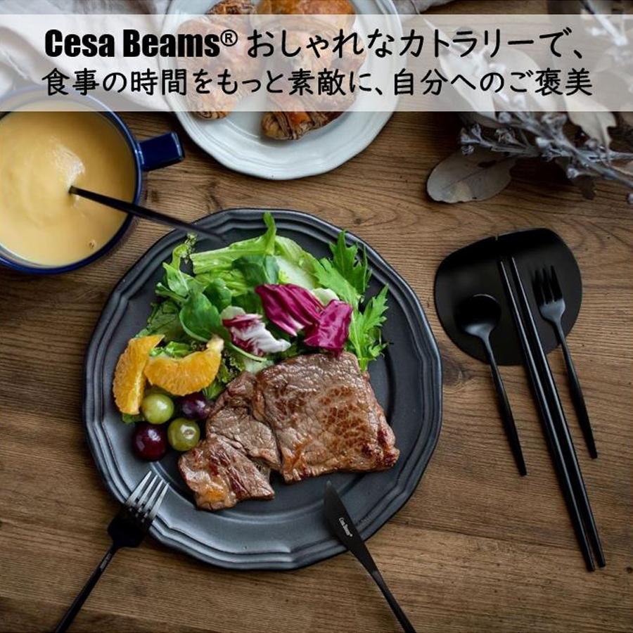 Cesa beams カトラリーセット 食洗機対応 プラチナシリーズ5本×2