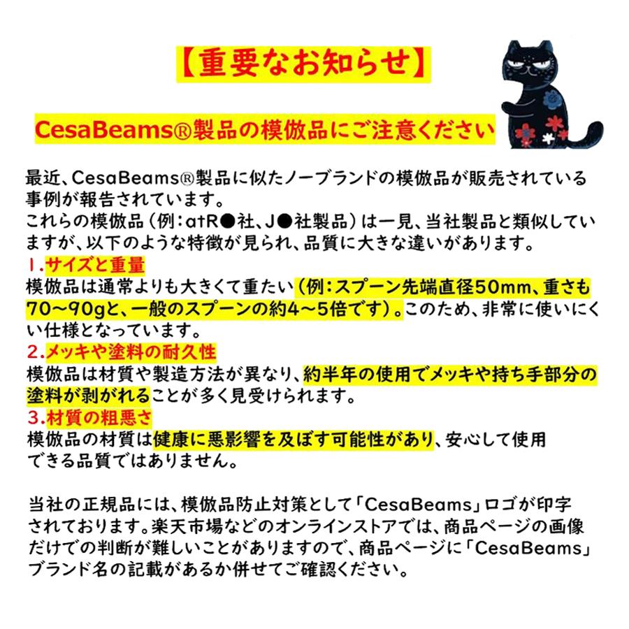 シルバースプーン 6本セット ギフトボックス付き cesaBeams カトラリーセット 6本ギフトボックス付きセット 結婚祝い